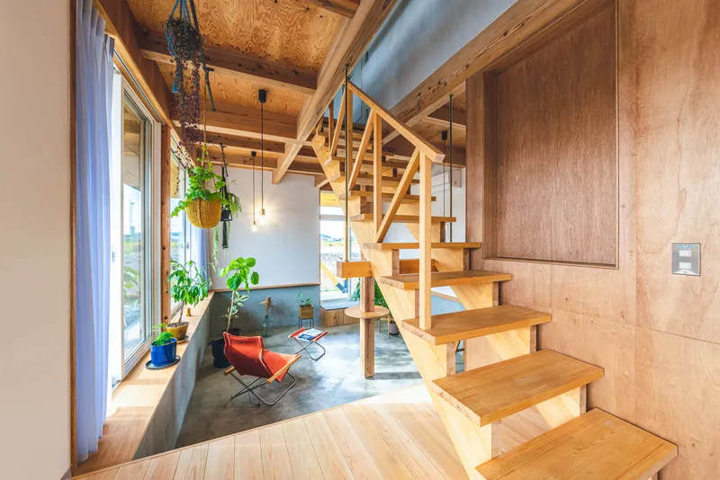 Open timber staircase leading from wood flooring to plywood-lined upper level with hanging planters
