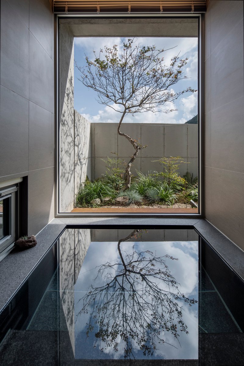 Interior courtyard view through window framing a single tree with reflecting pool mirroring sky and branches