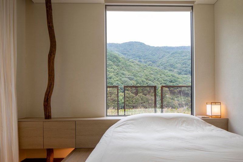 Bedroom with built in timber millwork incorporating a tree branch and wire mesh balcony beyond