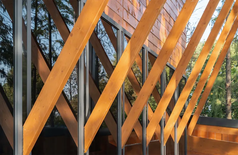 Diagonal timber bracing behind glass curtain wall with trees visible beyond