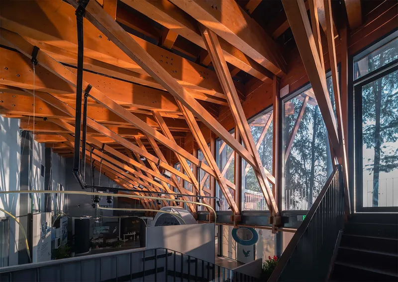 Interior view of exposed timber trusses and diagonal bracing with glazed facade overlooking trees