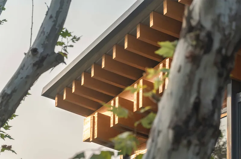 Timber roof overhang with exposed joists framed by tree branches in foreground