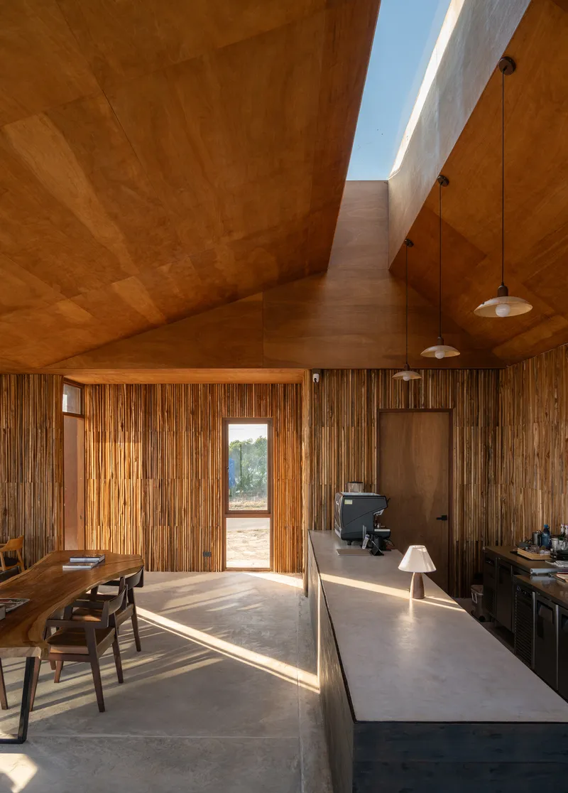 Interior space with plywood vaulted ceiling, skylight, and sunlight streaming through the doorway