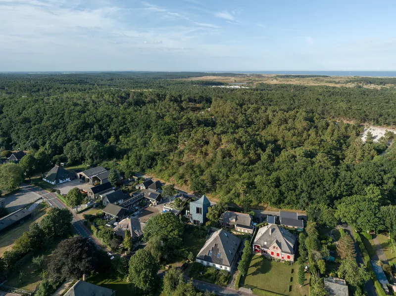 Aerial view of residential houses clustered among dense forest with open fields visible in the distance