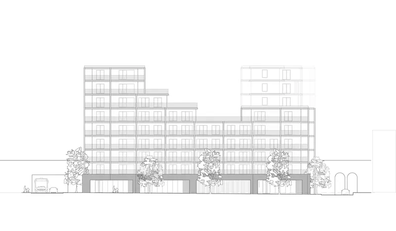 Elevation drawing showing the stepped facade with regular window grid and trees at ground level