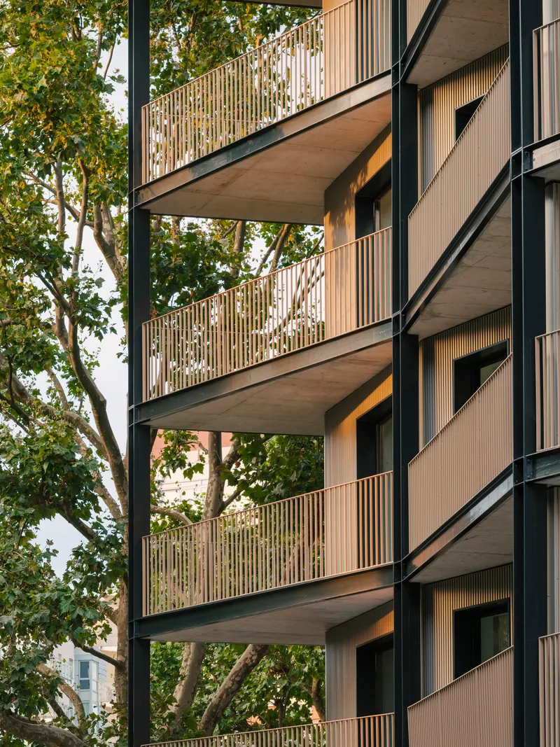 Concrete balcony soffits and slatted railings with tree branches filtering daylight through the openings