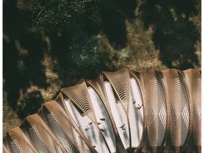 A Haven for Australia: Sustainable Architecture for Koala Conservation and Climate Resilience