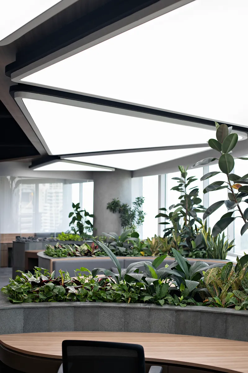 Close-up of concrete planter boxes filled with tropical foliage beneath angular ceiling light fixtures