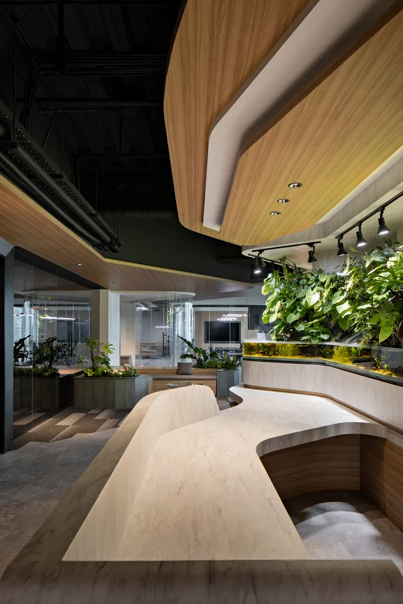 Curving stone countertop and wood slat base wrapping through the office interior under suspended timber ceiling elements