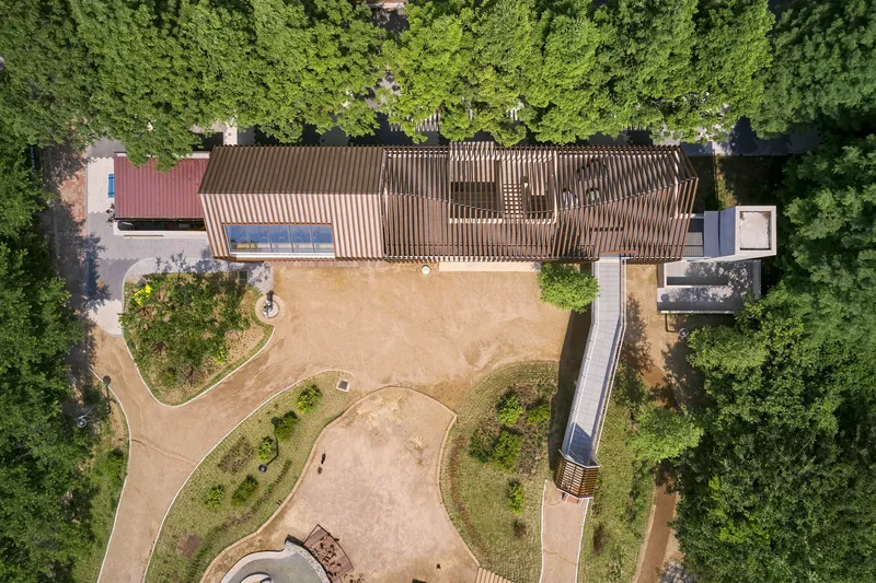 Overhead view showing the slatted timber roof canopy above a sandy courtyard edged with trees