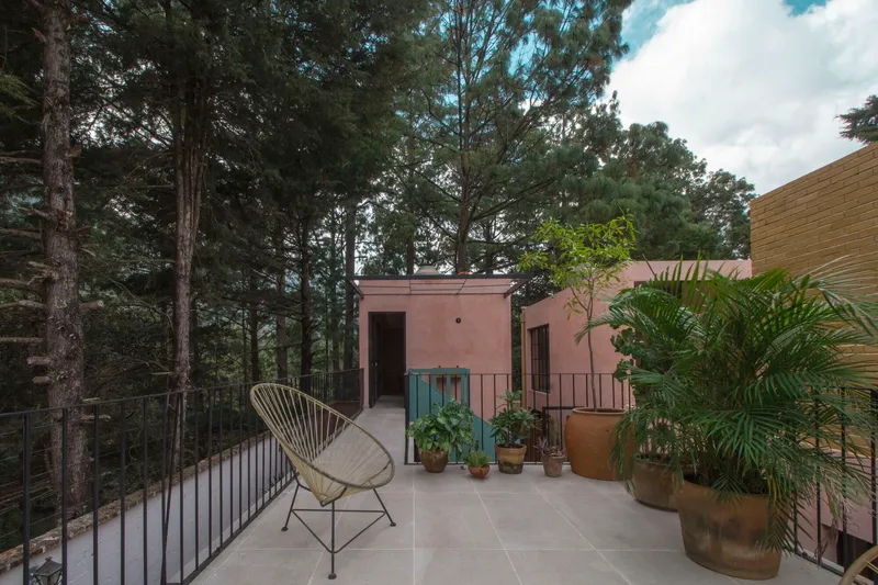 Rooftop terrace with metal railings, potted palms and a wire chair overlooking the forest