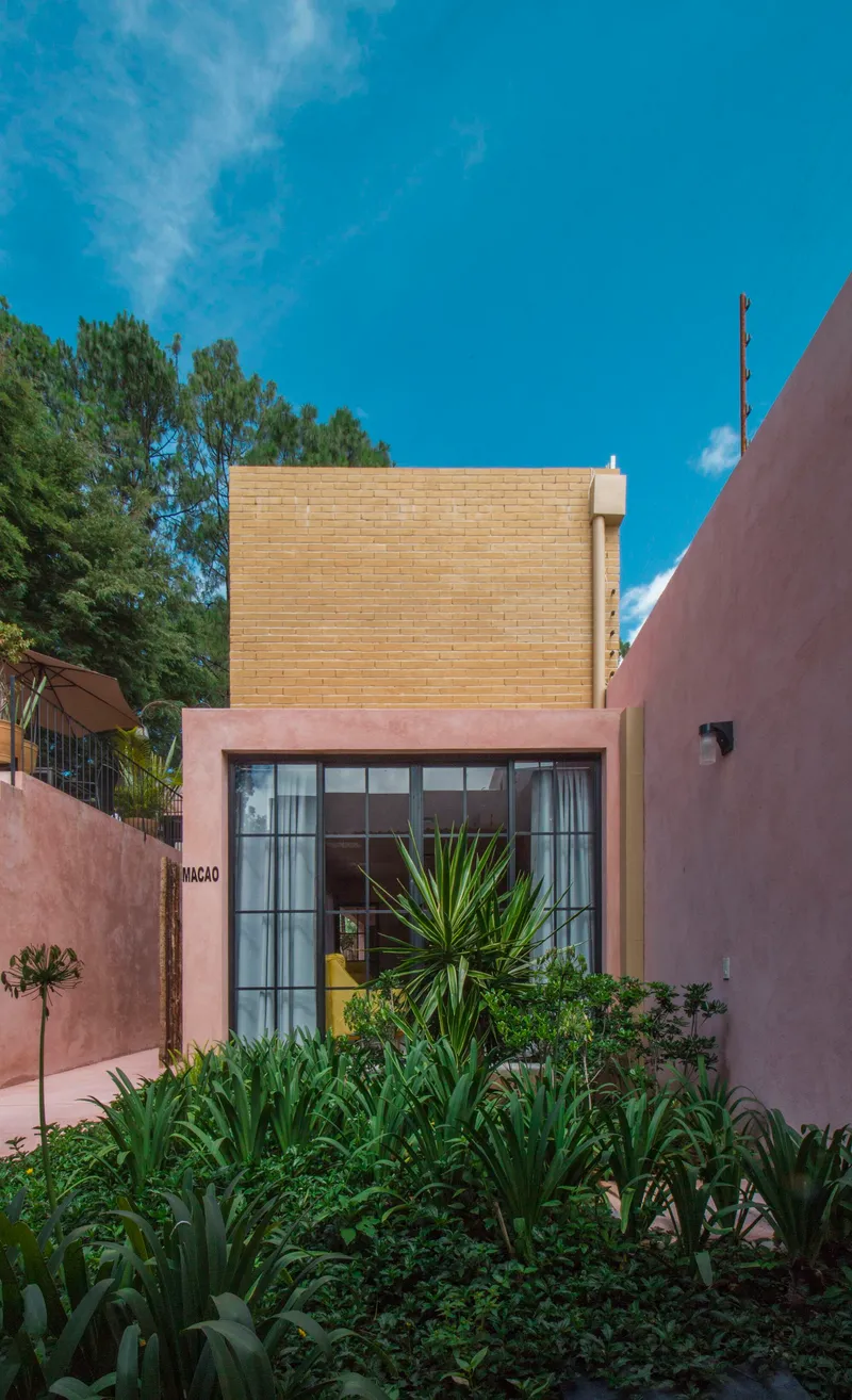 Front facade combining yellow brick upper volume and pink stucco base with black steel window grid