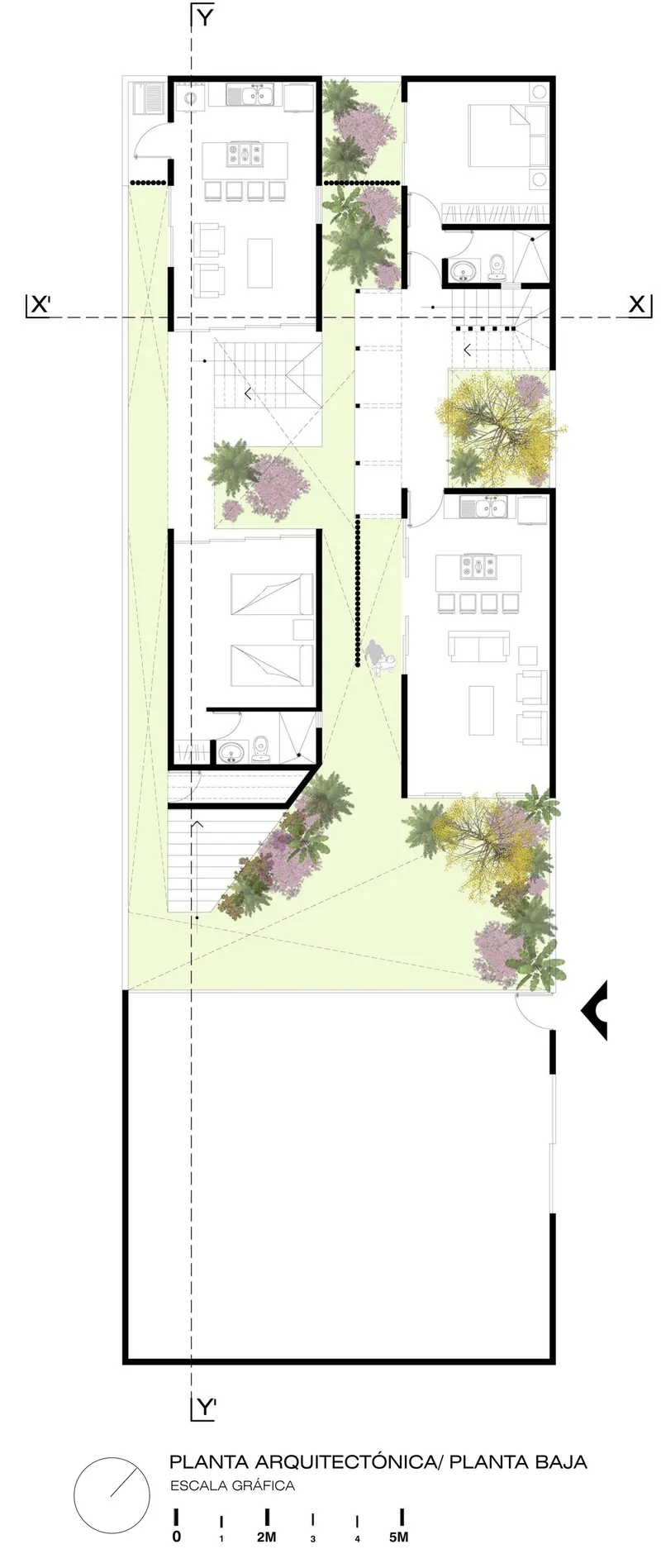 Ground floor plan drawing showing interior rooms and exterior courtyard with planted purple and yellow flowering trees