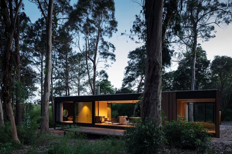 Glass-walled pavilion with timber cladding nestled among tall eucalyptus trees at dusk
