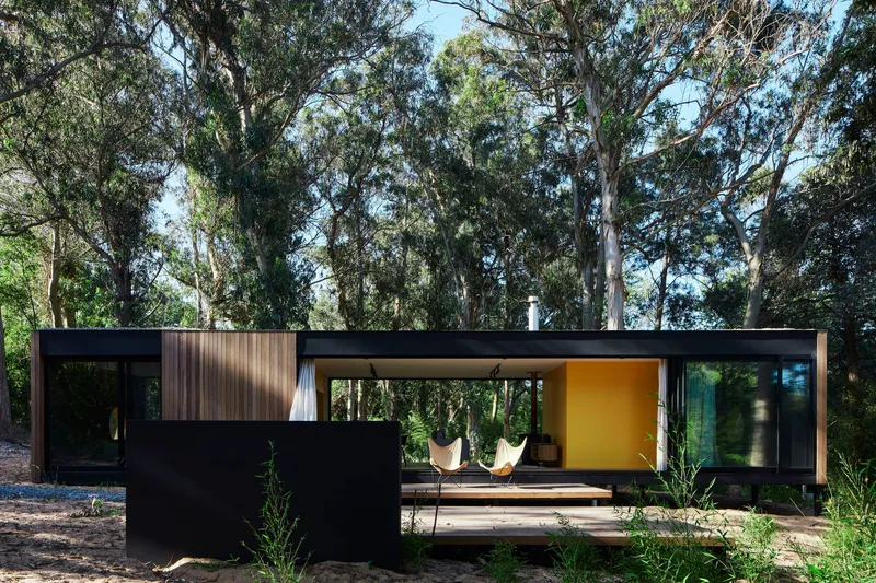 Deck terrace with freestanding black wall extending from the glazed living pavilion into the woodland clearing