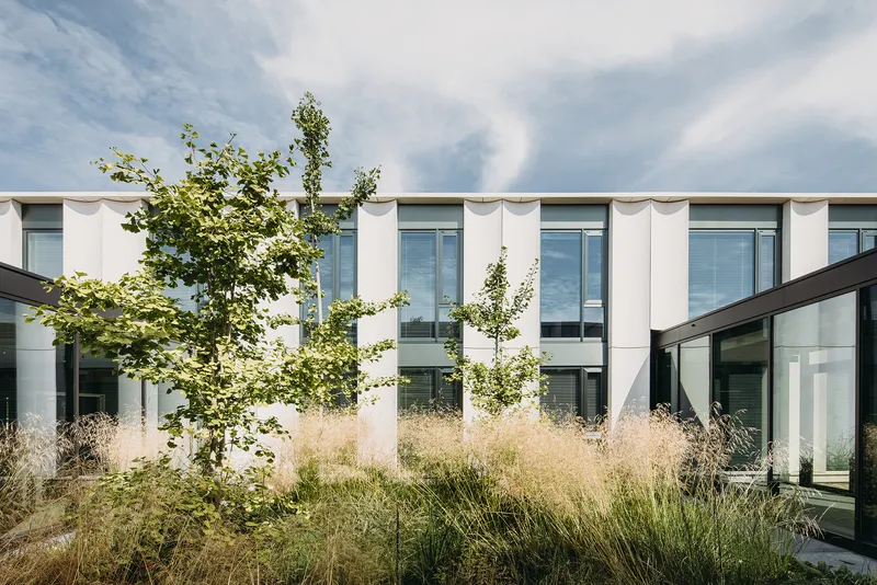White facade with vertical fins seen through courtyard planting of young trees and ornamental grasses