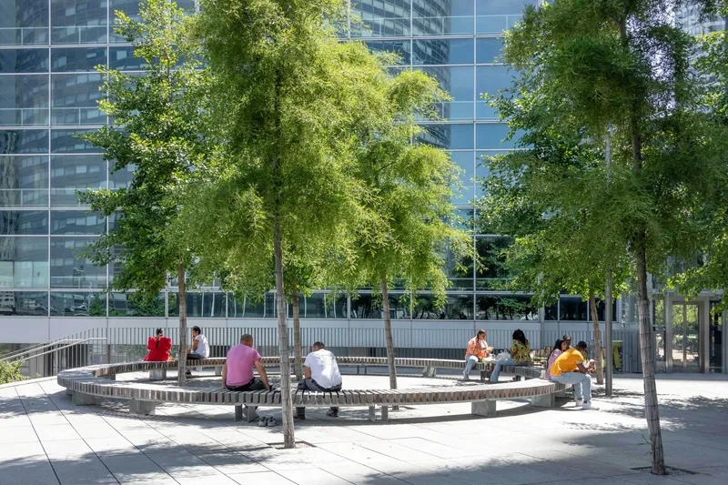 Circular tiered seating area with stone benches beneath deciduous trees and a glass curtain wall