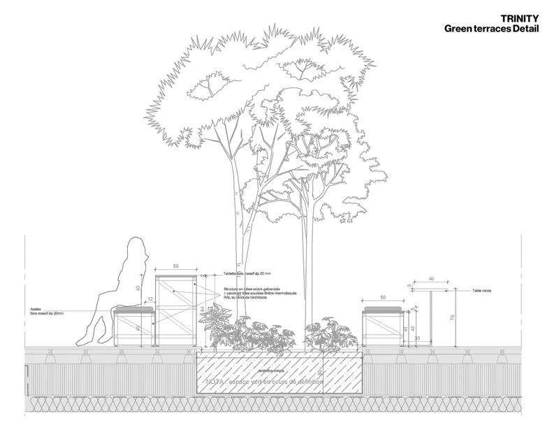 Section drawing of a planted terrace with raised beds, seating and mature trees