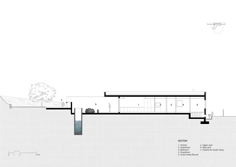 Section drawing showing sloped interior spaces with a tree and pool at the lower level