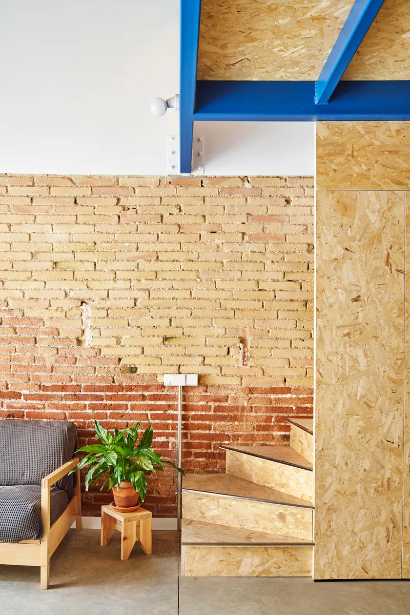 Detail of exposed brick wall meeting oriented strand board partition with potted plant in foreground