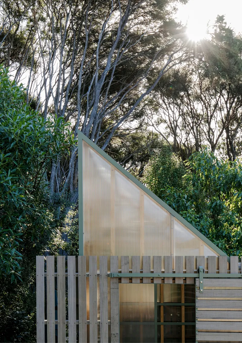 Translucent polycarbonate wall and timber screen fence beneath mature trees with sunlight filtering through the canopy