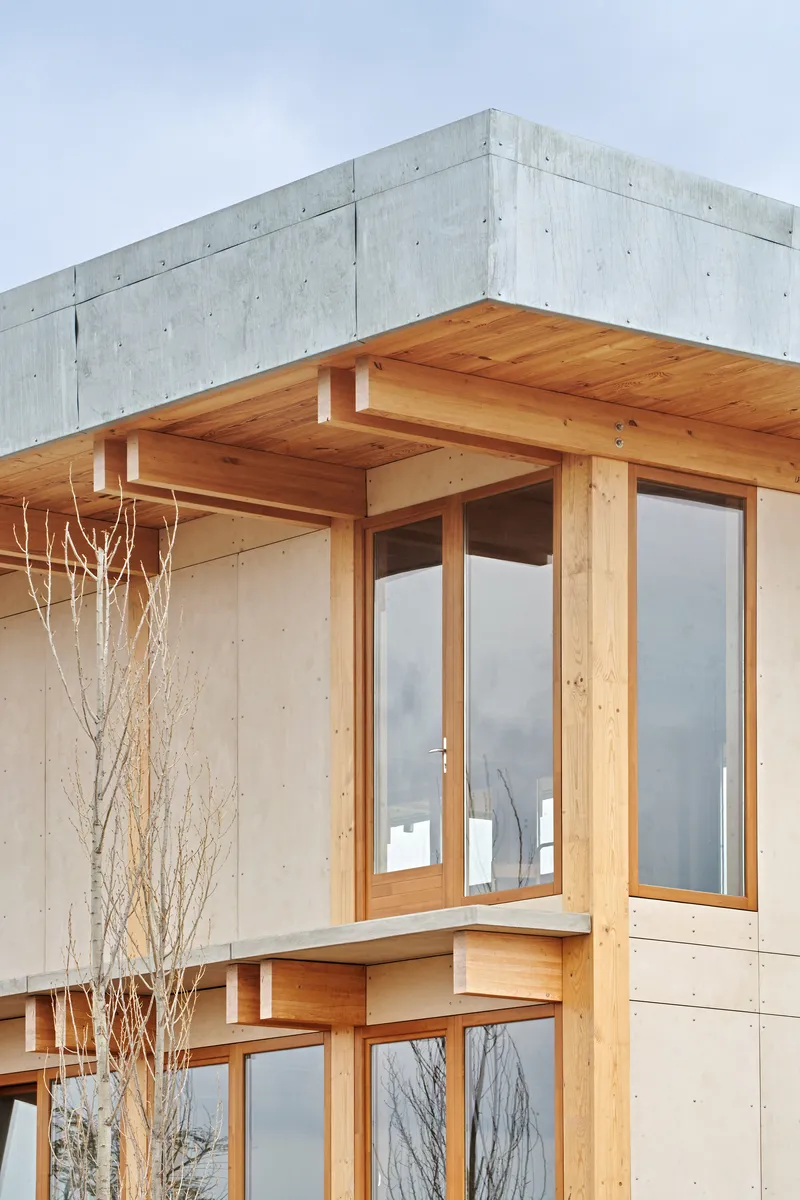 Corner detail of exposed timber frame with deep eaves above concrete walls and bare winter branches