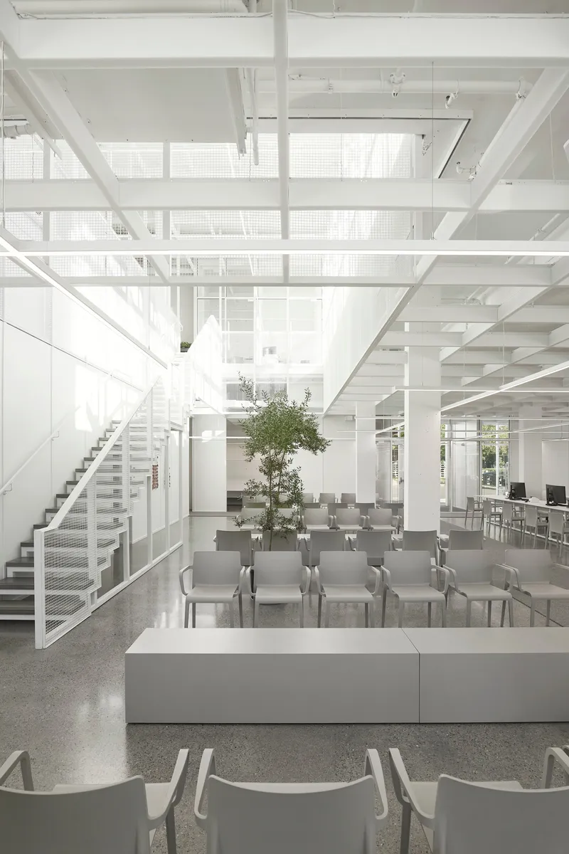 Double-height interior with white steel structure, open staircase, and rows of seating around a potted tree