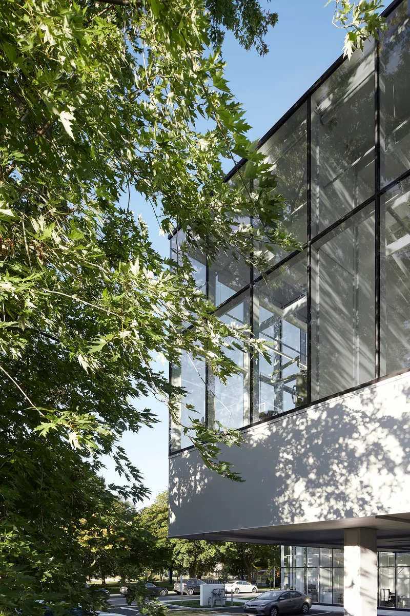 Gridded glass facade rising above a white stucco base with dappled tree shadows