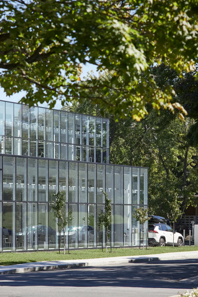 Two-story glazed facade framed by mature trees and a row of young saplings along the lawn