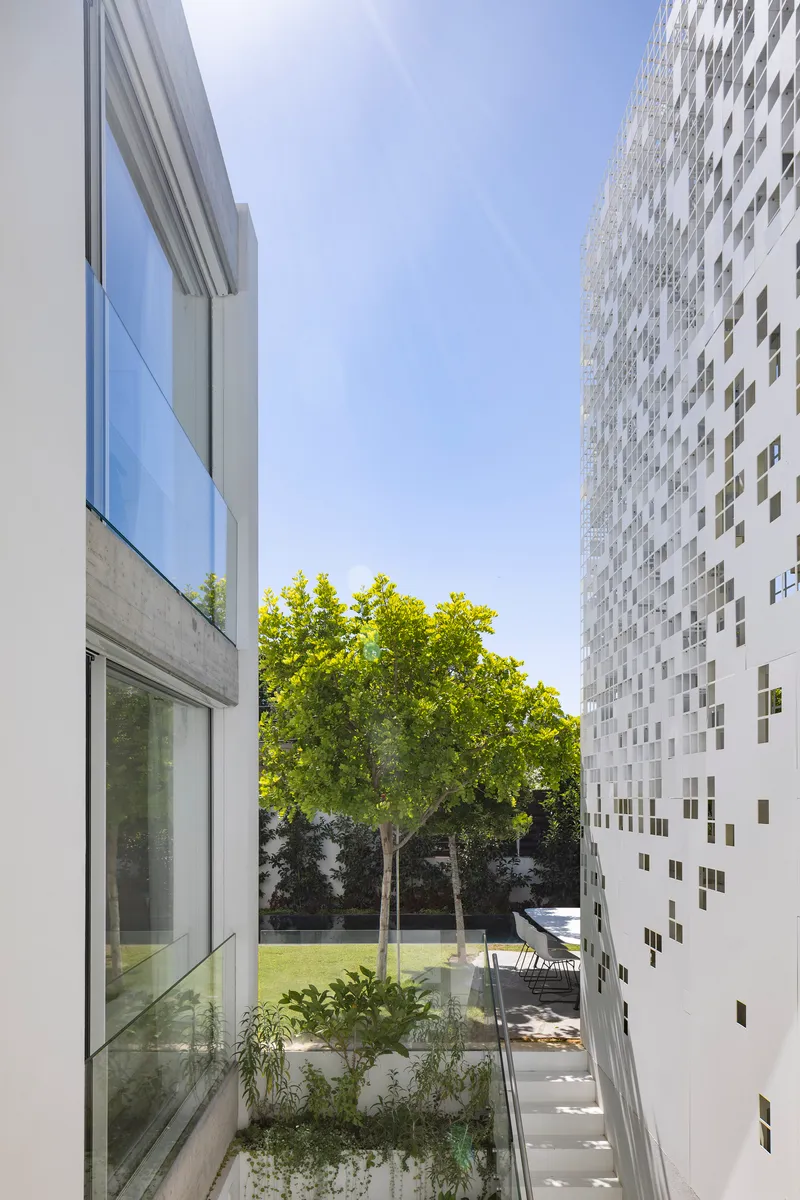 Courtyard view between white volumes showing planted beds and a deciduous tree under clear blue sky