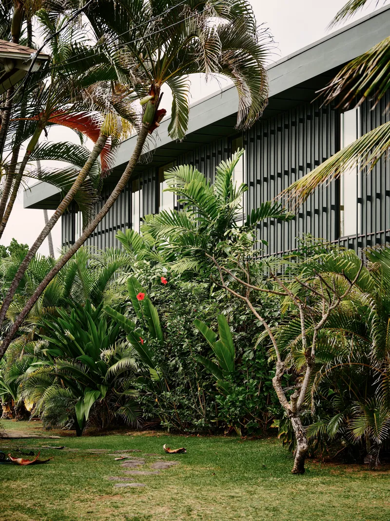Upper level facade with vertical louvered screens rising above dense tropical planting and palms
