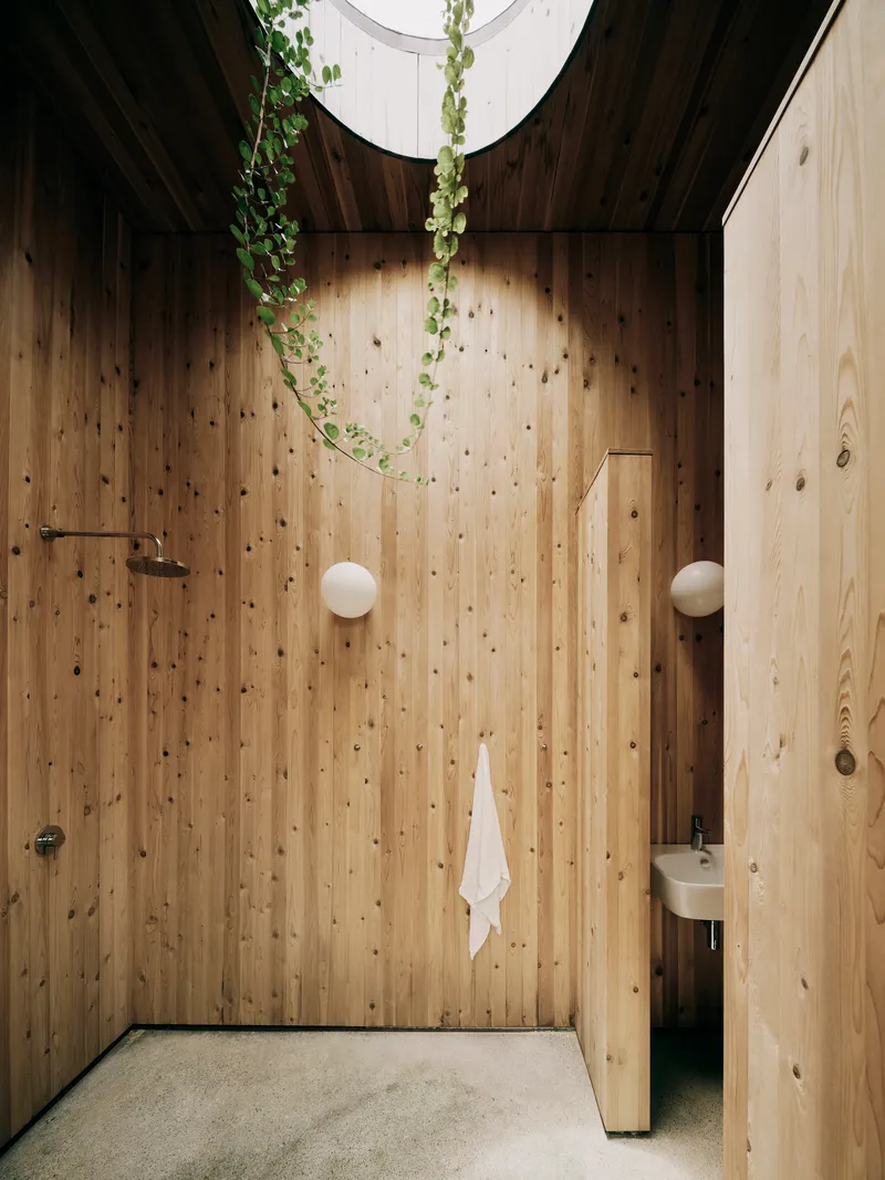 Timber-clad shower enclosure with skylight and trailing plants descending from above