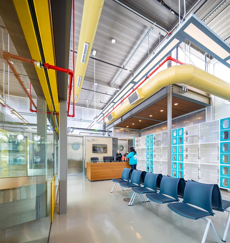 Interior reception area with exposed colored mechanical ducts suspended from the corrugated metal ceiling