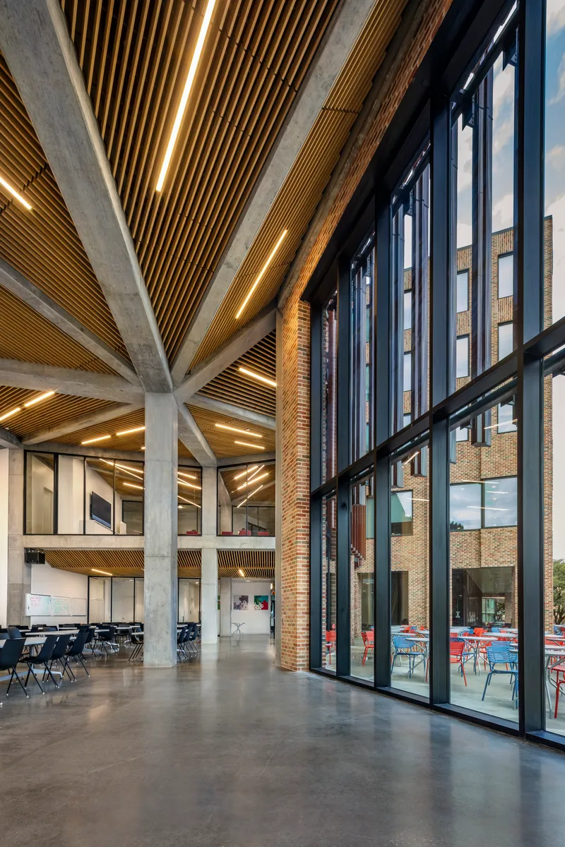 Double-height lobby with branching concrete column supporting timber-slatted ceiling radiating from central point