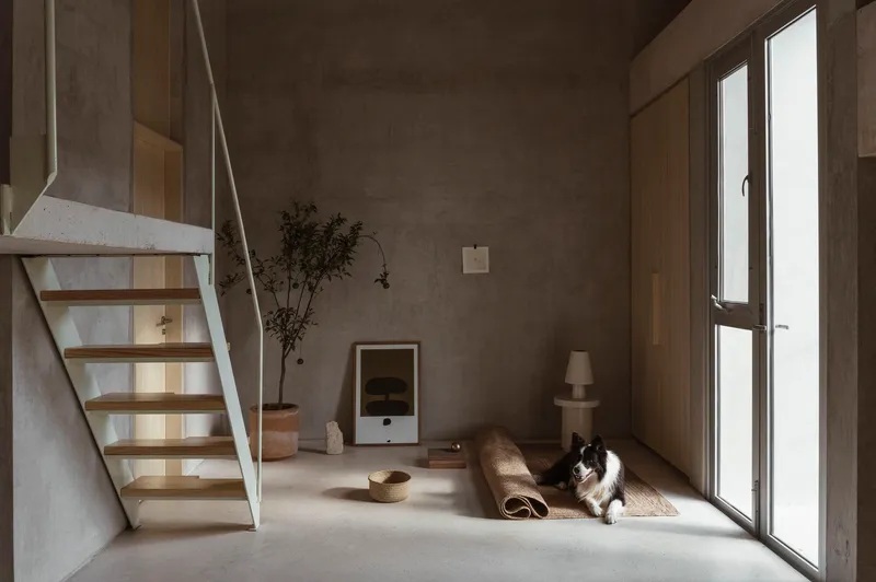 Double-height interior with concrete staircase, plywood shelving, and a cat resting in afternoon sunlight