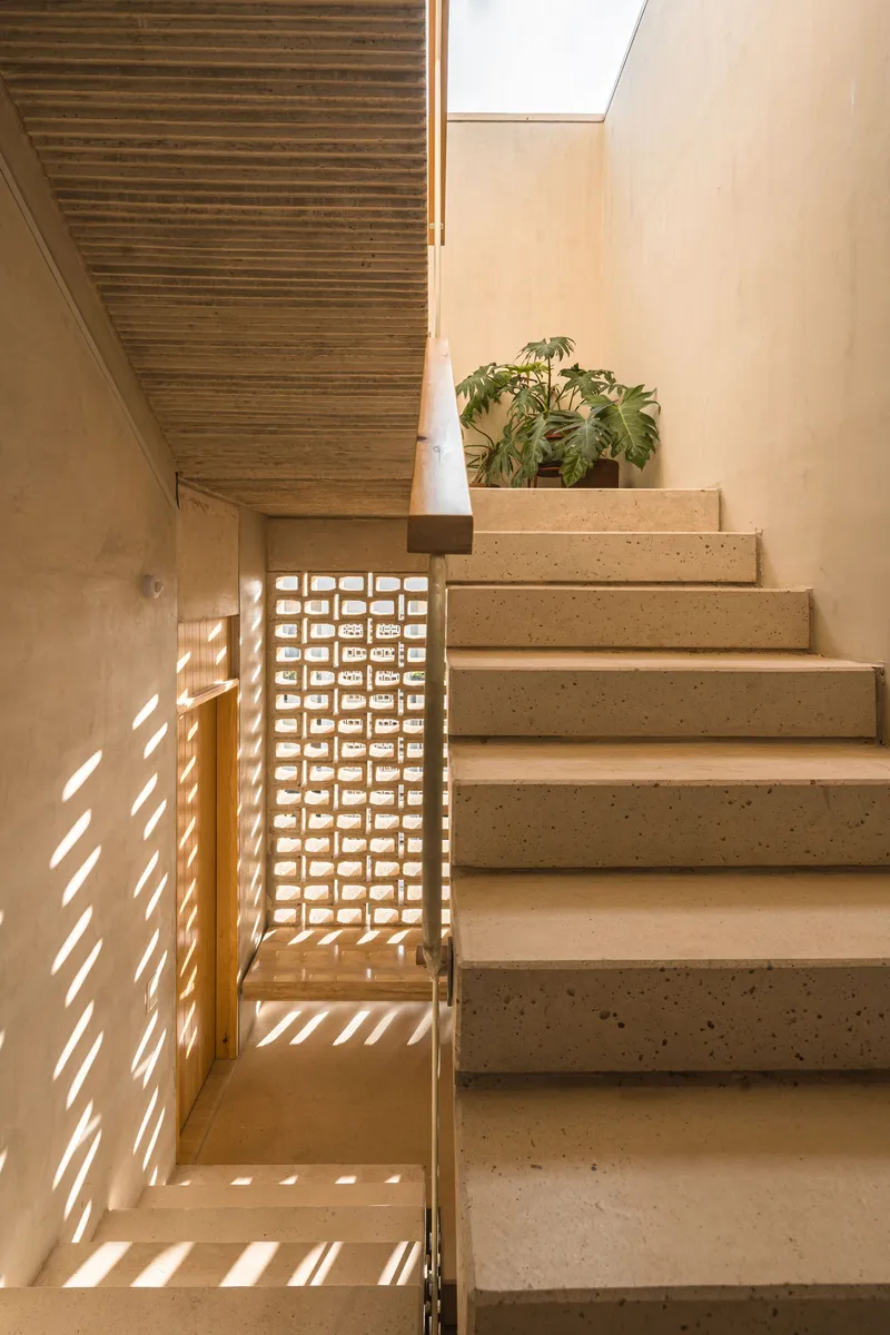 Stairwell with timber slatted ceiling, perforated screen wall casting dappled shadows, and skylight above