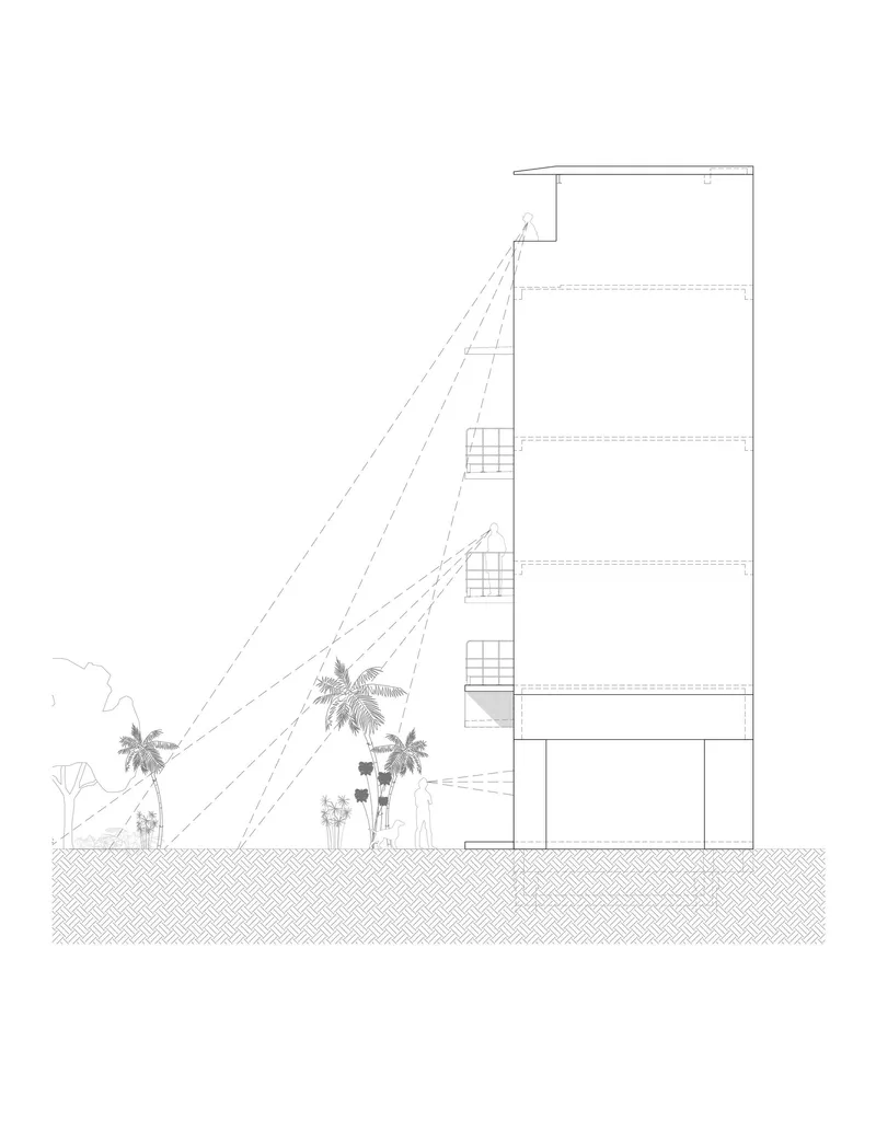 Section drawing showing the building profile with palm trees and diagonal structural cables