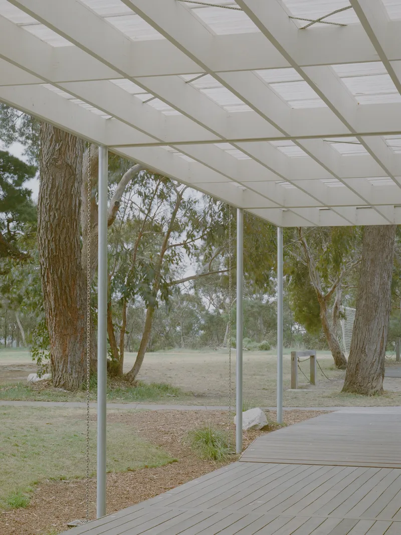 View from beneath the gridded canopy looking out to eucalyptus grove and open parkland