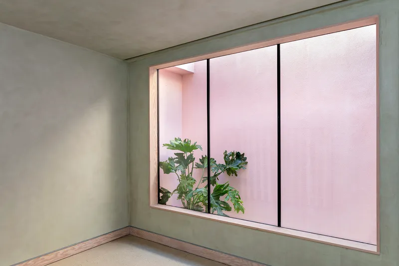 Interior window framing a pink courtyard wall with a potted fig tree in soft daylight