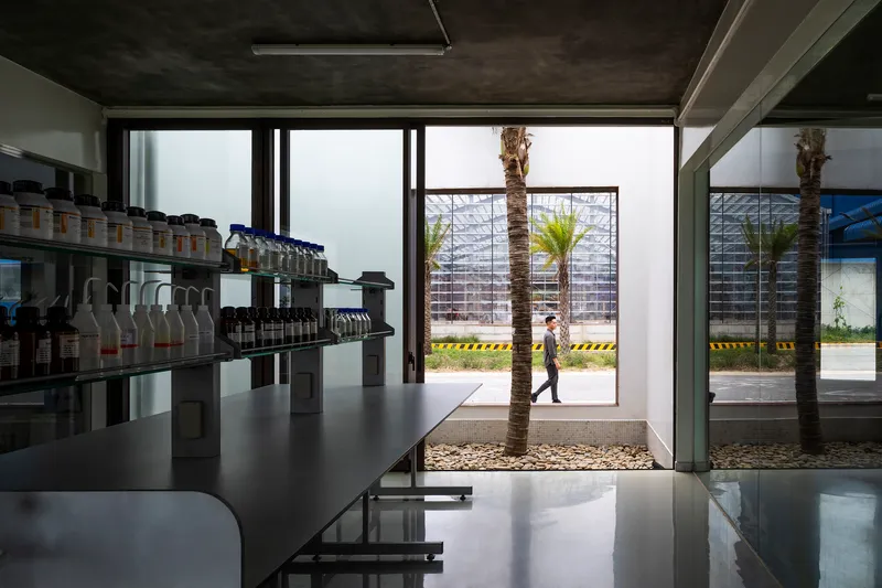 View through glass walls to interior courtyard with palm tree and person walking past exterior fence
