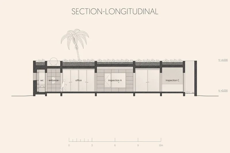 Longitudinal section drawing showing a linear sequence of rooms with a palm tree above