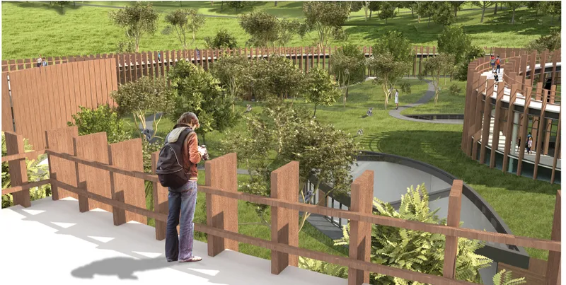 Elevated viewing platform offers immersive yet non-intrusive encounters with koalas in a carefully preserved natural environment.