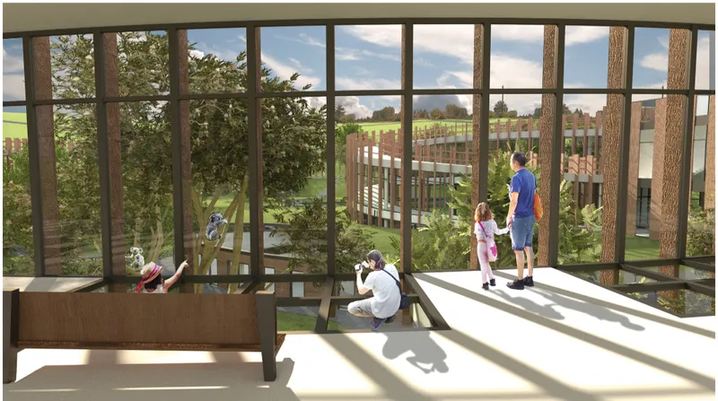 Floor-integrated glass panels create unique perspectives for observing koalas from above, below, and eye level.