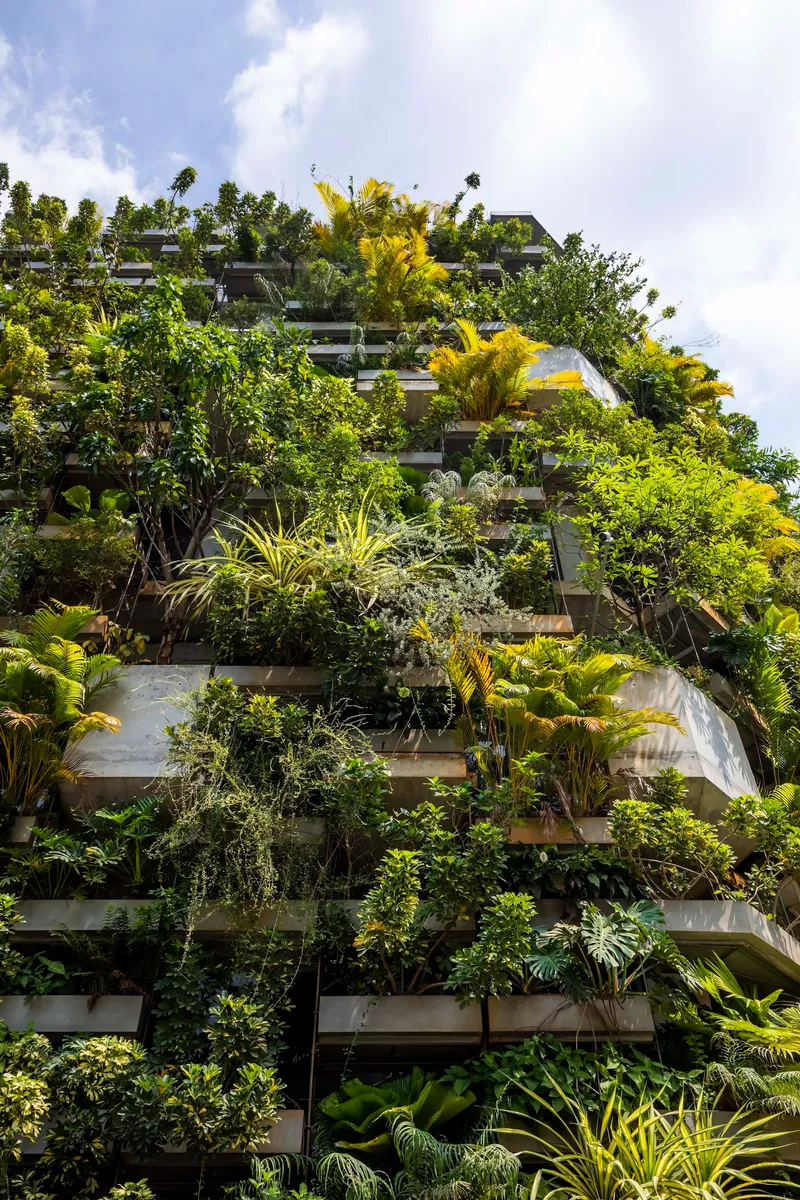 Close view of the stacked concrete slabs densely planted with palms and tropical vegetation