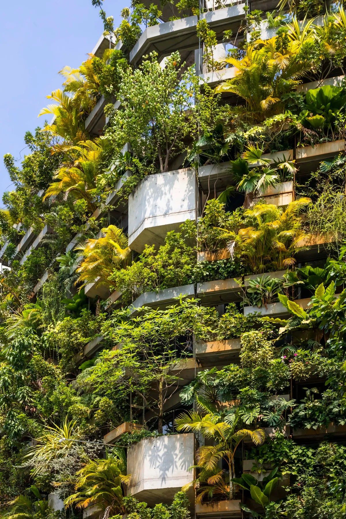 VTN Architects Wraps Their Own Ho Chi Minh City Studio in a Vertical Tropical Forest