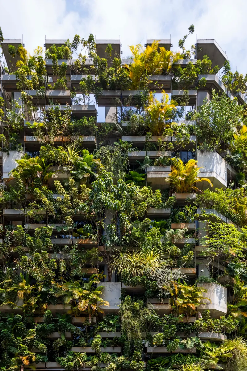 Close view of staggered concrete planters filled with trees and foliage in bright sunlight