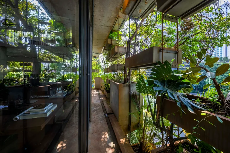 Planted terraces with concrete troughs containing palms and broad-leafed plants in dappled afternoon light