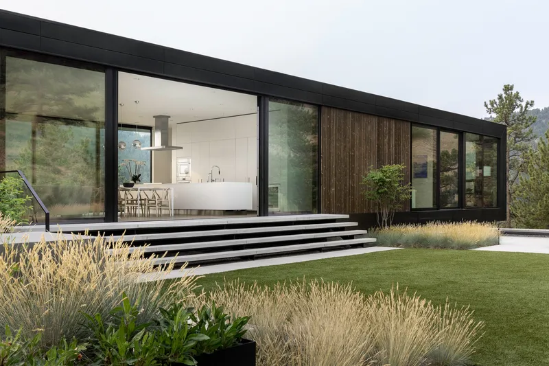 Wide concrete steps leading to a glass-walled living space framed by ornamental grasses and lawn