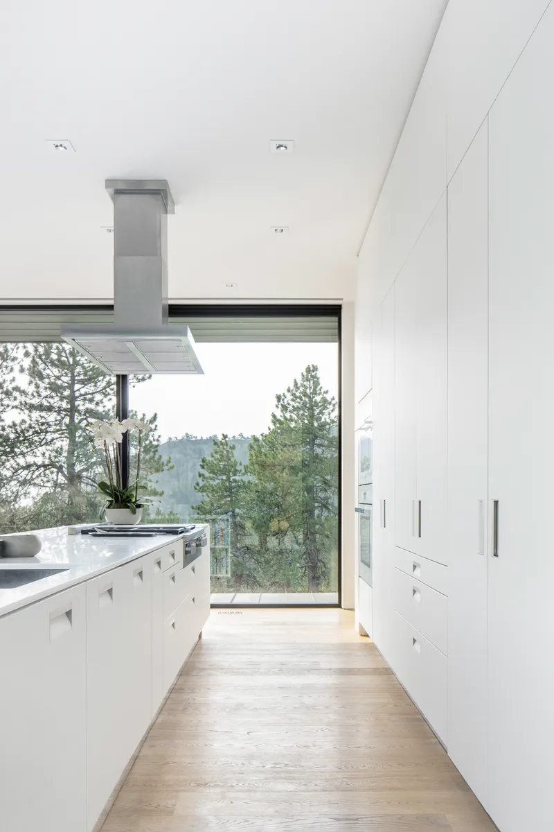 White galley kitchen with stainless steel range hood and clerestory window overlooking pine trees