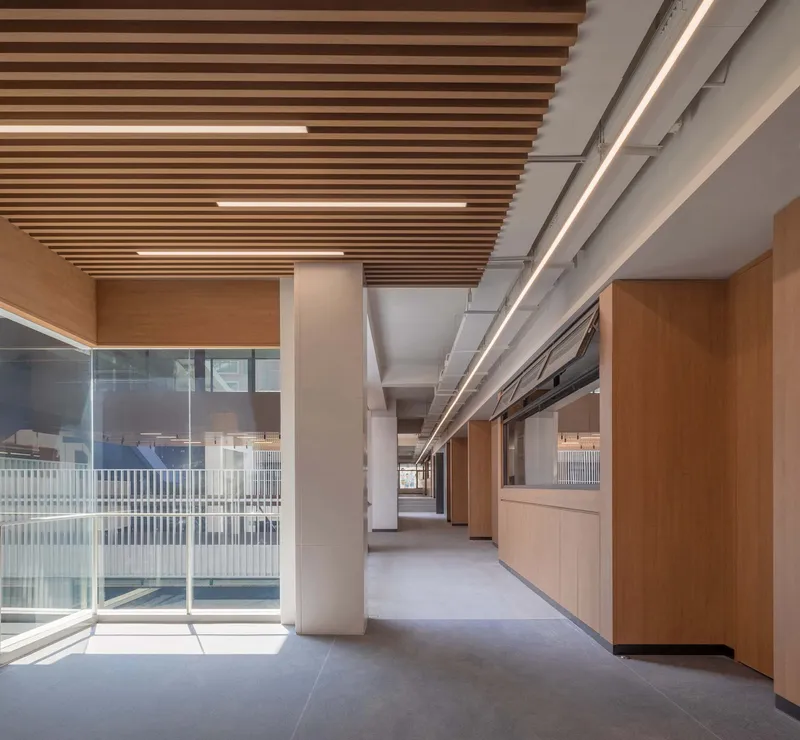 Interior corridor with slatted timber ceiling, concrete columns, and glazed openings to adjacent spaces